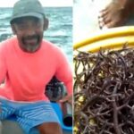 Surpreso com repercussão, pescador fala de vídeo com animal estranho: ‘Soltamos’