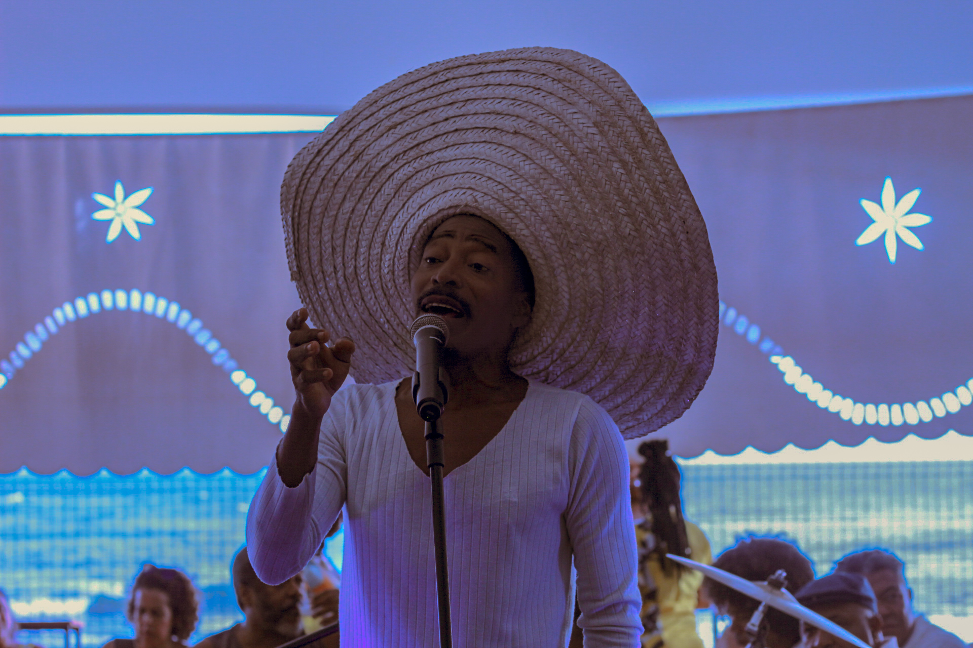 João Gonzaga, artista de Fazenda Coutos