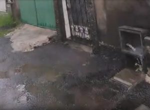 Sem título